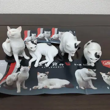 모리구치 오사무의 고양이 피규어 마스코트 전4종 세트