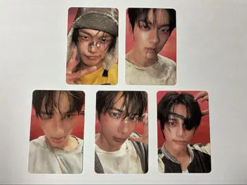 트레이딩 카드 5인 세트