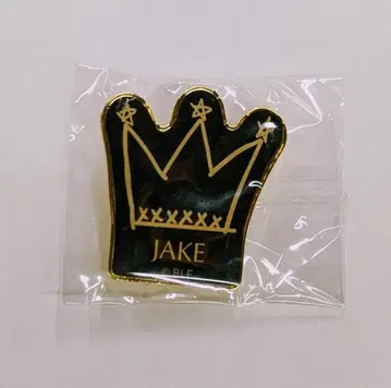 ENHYPEN 2023 ENHYPEN MUSEUM JAKE 핀즈