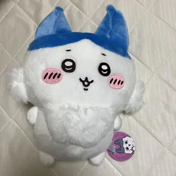 치이카와 패러렐 월드!? BIG 봉제 인형 하치와레