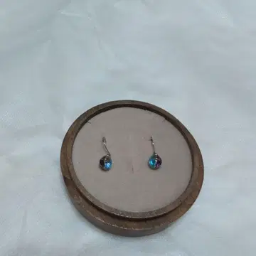 귀걸이