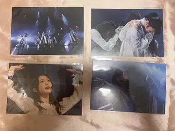 사쿠라자카46 신참자 엽서