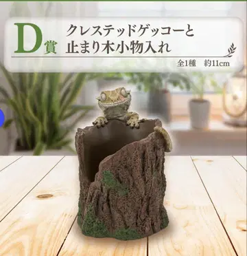파충류 제일복권 D상 크레스트 게코 소품함