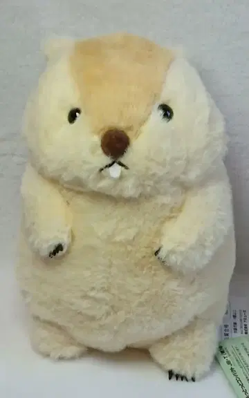 마모트의 모토토 컴팩트 점보 JB 봉제 인형 모토토