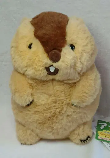 마모트 몹토토 컴팩트 점보 JB 봉제 인형 아타로