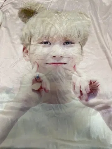 SEVENTEEN 승광 담요