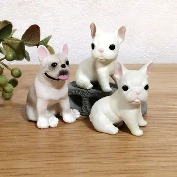 프렌치 불독 3마리 세트