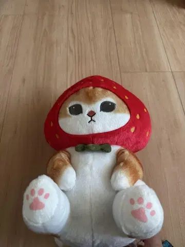 모프 샌드 봉제 인형