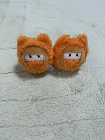카라피치 에토 씨 타피누이 2개