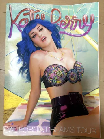 케이티 페리 Katy Perry 라이브 팜플렛