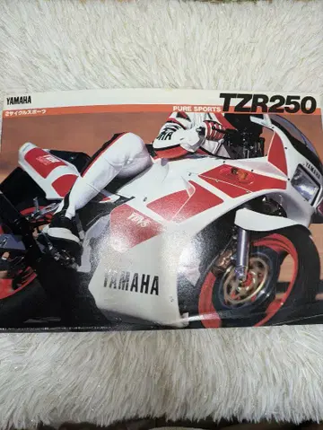 Yamaha TZR250 스포츠 바이크 카탈로그