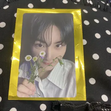 ENHYPEN 요이 타워 레코드 라키드로 정원
