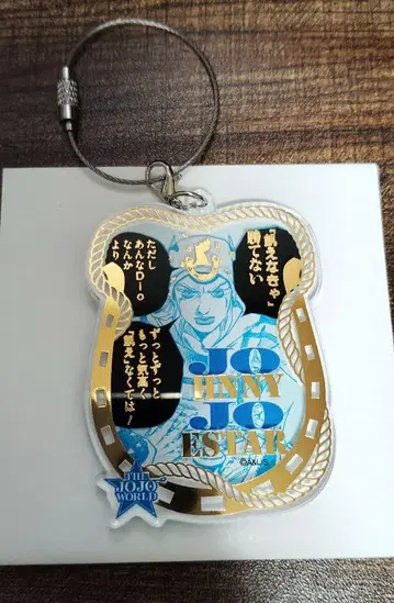 THE JOJO WORLD 와이어 키링 죠니