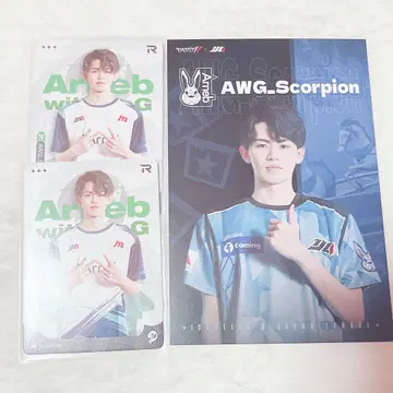 제5인격 scorpion IJL 카드/포스카