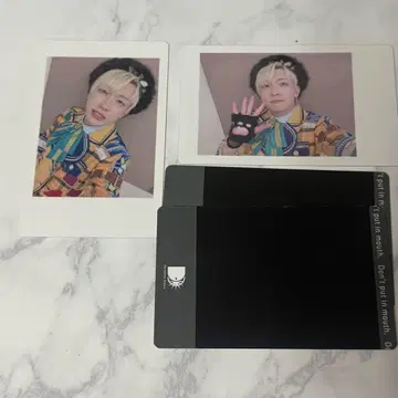 요우타 하피카 판다 드래곤