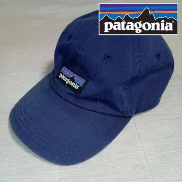 patagonia 파타고니아 네이비 캡