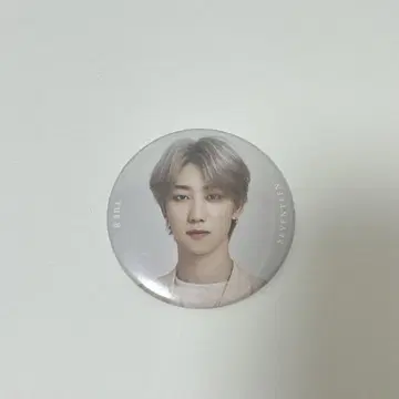 SEVENTEEN Ode To You THE 8 캔뱃지