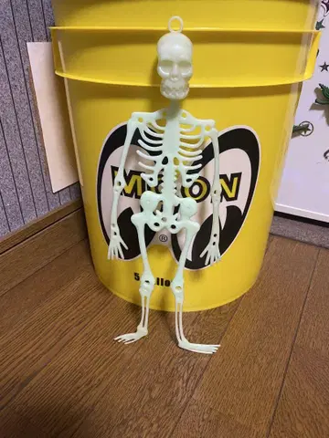 축광 그린 골격 피규어