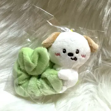 RIIZE 앤톤 스크런치