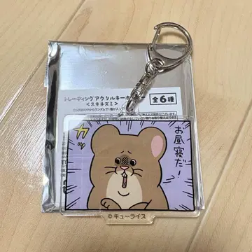 큐 라이스 엑스포 스키네즈미 아크링 키링