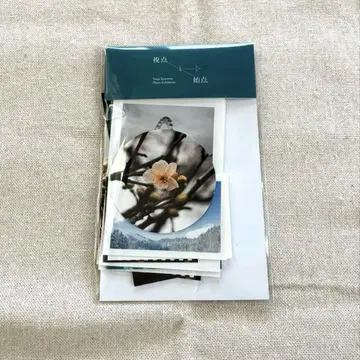 교모토 타이가 시점과 시점 스티커