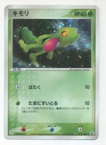 Pokemon ADV 프로모 016/ADV-P 나무지기