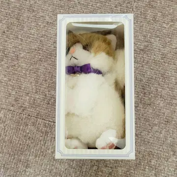 후지와라 이츠키 멘프로 마스