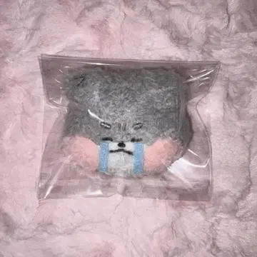 zeroni 고니니 고누크 이모지 배지