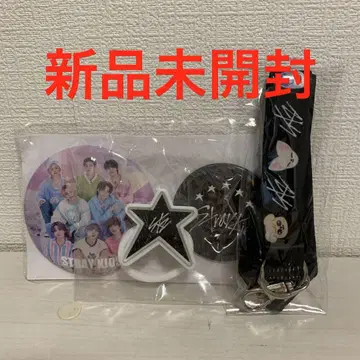 stray kids 5STAR DOME TOUR S-Class 시트 굿즈