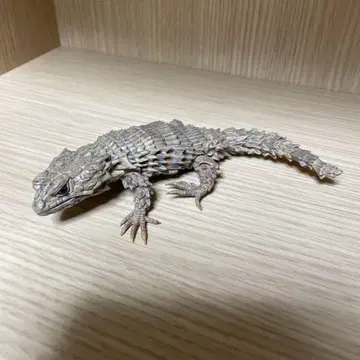 생물대도감 아르마딜로 도마뱀 스미입 레어 버전