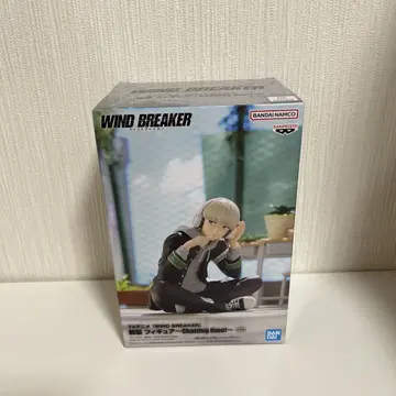 WIND BREAKER 카지 렌 피규어 + 클리어 파일
