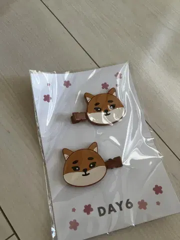 DAY6 3RD WORLD TOUR HAIR CLIP - KE
