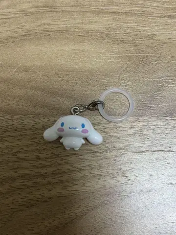 시나몬 메지루시 액세서리