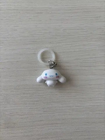 시나몬 메지루시 액세서리