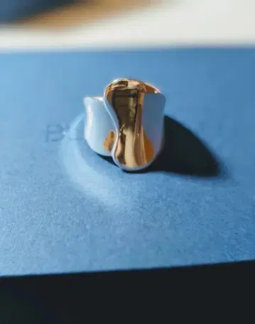 BLUE Jewelry 실버 반지 17호