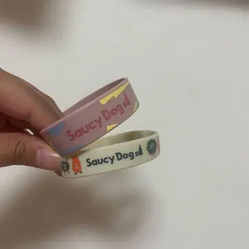 SaucyDog 라바방 2개 세트