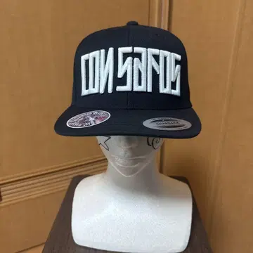 C/S project Snapback