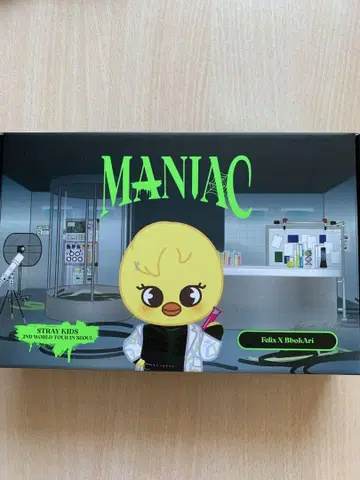 Stray Kids MANIAC Felix X BbakAri