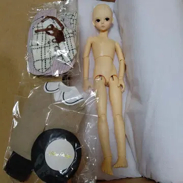 블루 페어리 데니스 본체 미사용 의상 포함