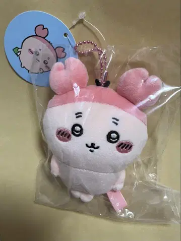 치이카와 (먼작귀) 모치토 마스코트 헌책방 카니짱