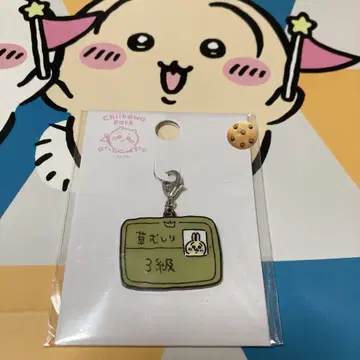 치이카와 파크 토끼 풀뽑기 검정 3급 참