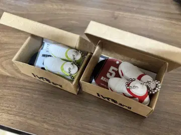 하이큐!! 미니어처 신발 컬렉션 아카아시 코즈라