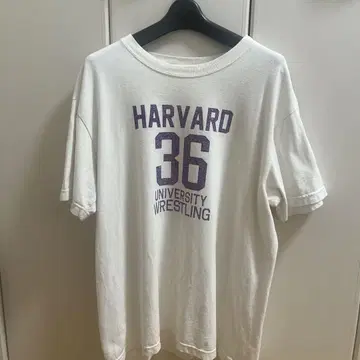 HARVARD 티셔츠