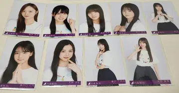 노기자카46 Same numbers 봉입 브로마이드 묶음 판매1