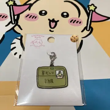 치이카와 파크 토끼 풀 뽑기 검정 3급 참