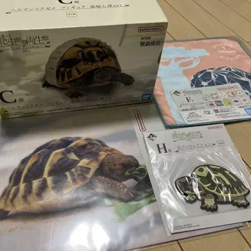 제일복권 파충류&양서류 Vol.2 C상 헤르만 육지거북 피규어