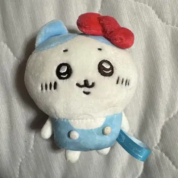 하치와레 키티 마스코트 산리오