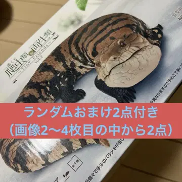 파충류 제일복권 피규어 아오지타도마뱀 A상
