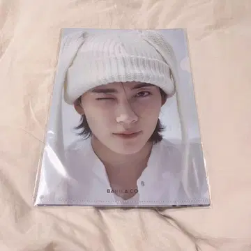 SEVENTEEN 정한 BANILA CO 바닐라코 클리어 파일