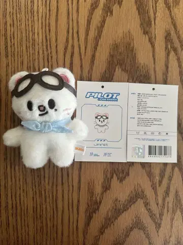 SKZOO PLUSH 10cm PILOT 지니레트 현진